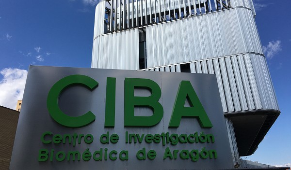 Dr. J. Salinas participa en un curso de cirugía experimental en el CIBA (Centro de Investigación Biomédica de Aragón).